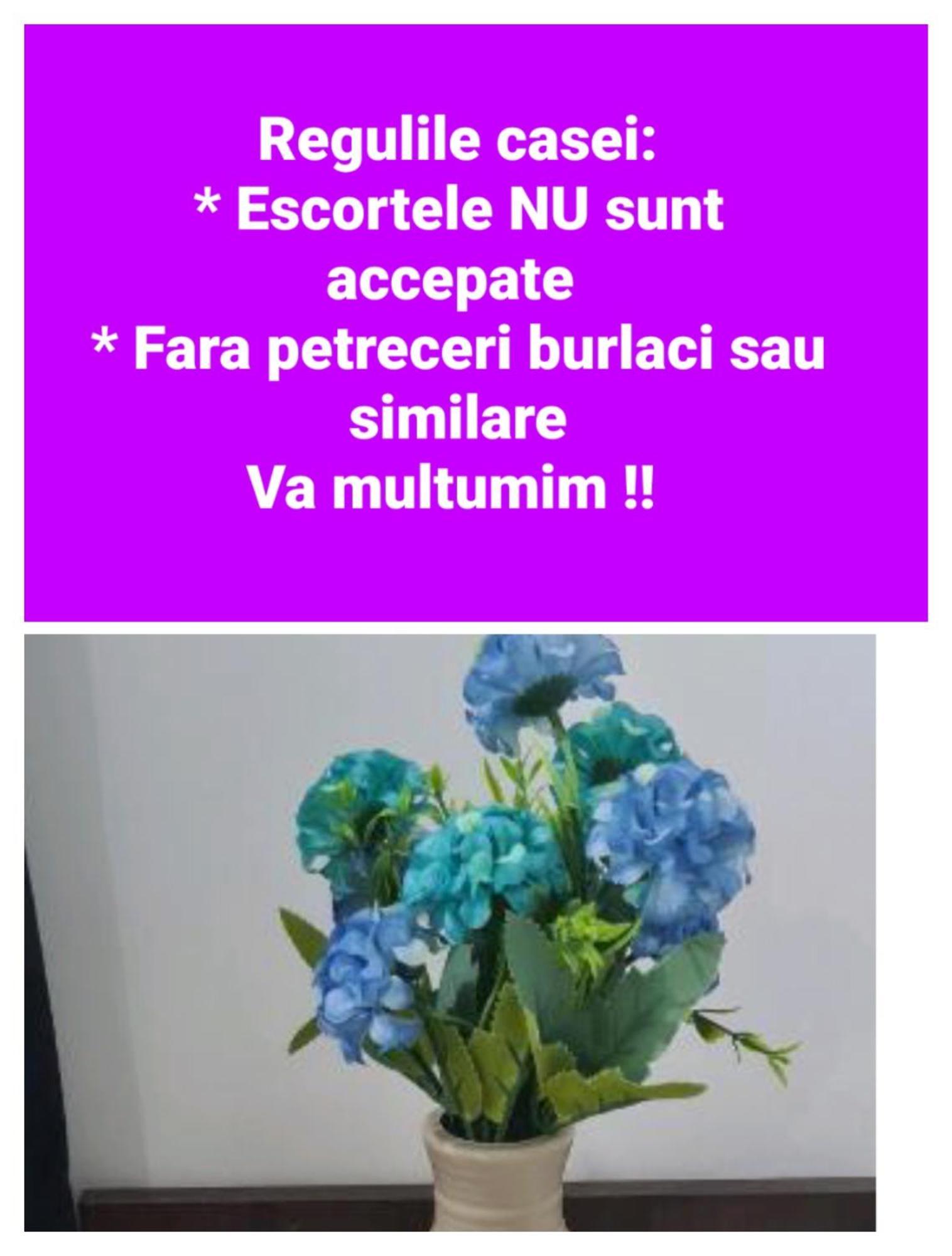 Seby Studio Constanta Luaran gambar